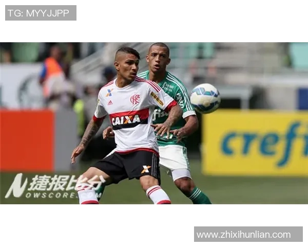 达伽马队与弗拉门戈的激烈对决揭示巴西足球的无限魅力与竞争精神