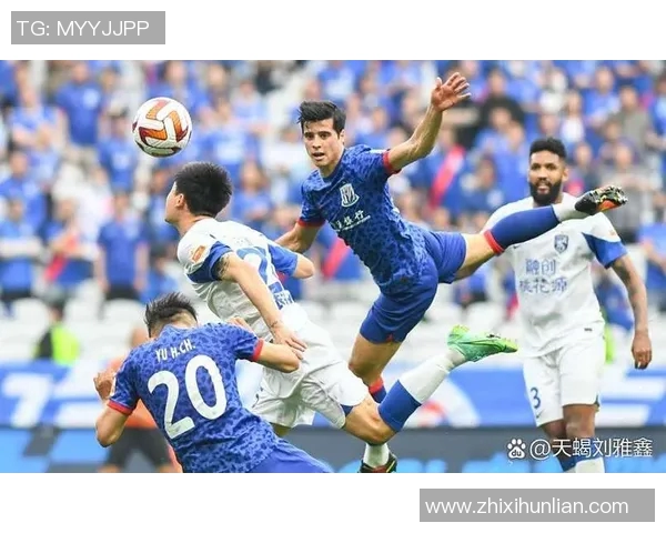 申花与辽宁激战正酣比赛结果揭晓引发球迷热议