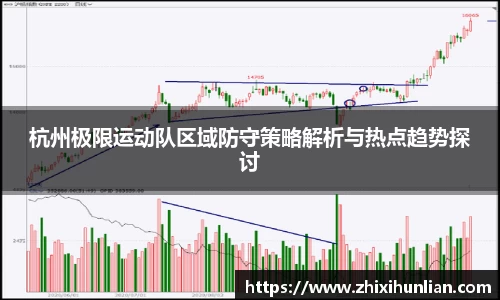 杭州极限运动队区域防守策略解析与热点趋势探讨