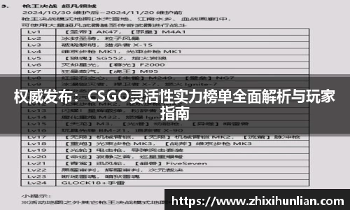 权威发布：CSGO灵活性实力榜单全面解析与玩家指南