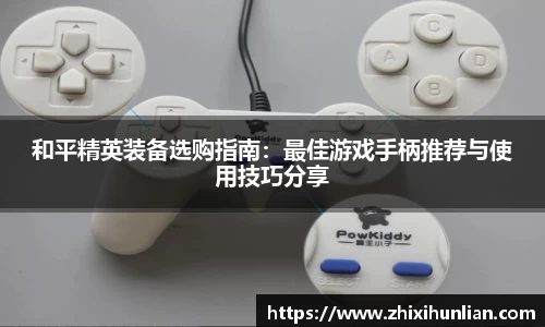 和平精英装备选购指南：最佳游戏手柄推荐与使用技巧分享